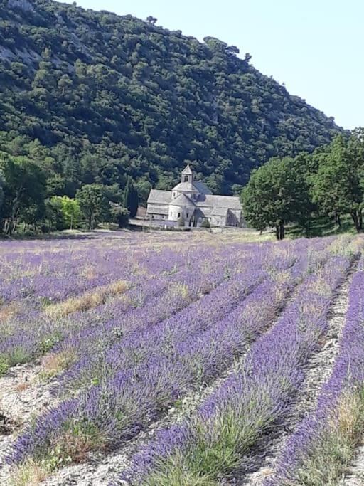 Villa Bastidon Plein Sud 3*, Promo fin d'été à Gordes. Exterior foto